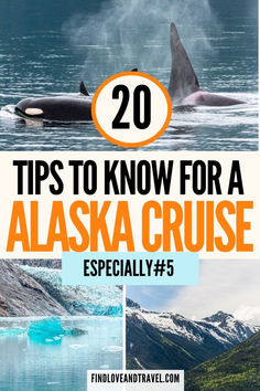 the alaska cruise with text overlay that reads 20 tips to know for a alaska cruise especially