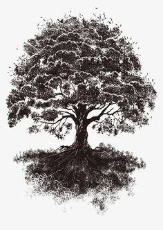 a black and white drawing of a tree