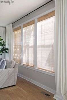 a living room filled with furniture and windows covered in white draping next to a potted plant