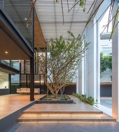 an indoor courtyard with steps leading up to a tree