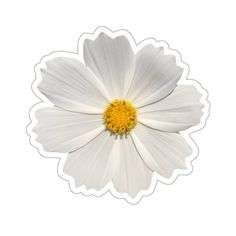 a white flower with yellow center on a white background