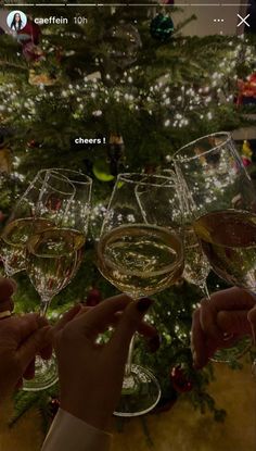 several people holding wine glasses in front of a christmas tree with lights on the branches