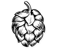 a black and white drawing of a hop