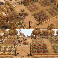 two pictures of an outdoor vegetable garden