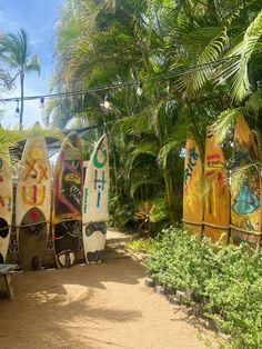 several surfboards are lined up in the sand near some palm trees and bushes on a sunny day