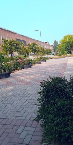 national textile university faisalabad || ntu fsd the view of faisalabad national textile university fsd ntu  #fsd #ntu #university International University, Travel Pictures Poses, Pictures Poses, Picture Poses, The View, Travel Pictures, Textiles