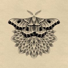 a black and white drawing of a butterfly