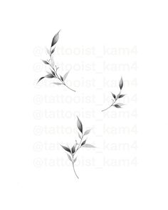 two black and white images of leaves on a white background with the words tattooist sam 4