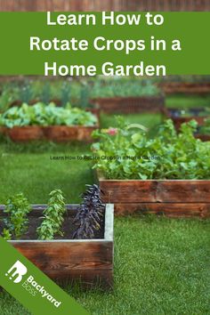 some wooden boxes with plants in them and the words learn how to rotate crops in a home garden