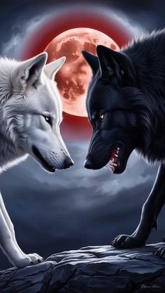 two wolfs facing each other in front of a full moon