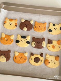 the cookies are shaped like cats and bears