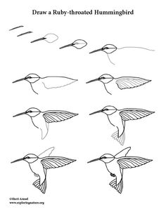 an image of hummingbirds flying in the air with their wings spread out and feet extended