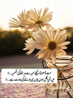 two daisies in a glass jar with an islamic quote