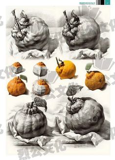 an image of different types of pumpkins