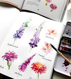 an open book with watercolor flowers on it