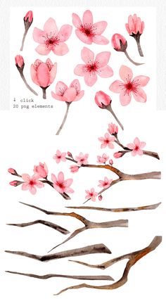 watercolor flowers and branches on a white background