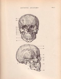 an old book with two different types of skulls