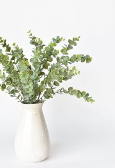 a white vase filled with green plants on top of a table