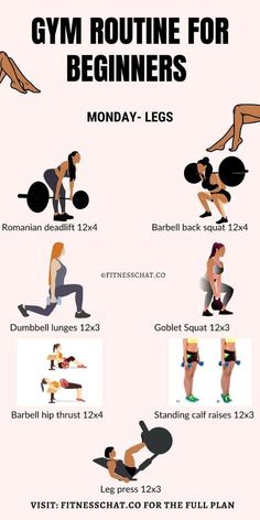 a poster showing how to use the gym routine for beginners