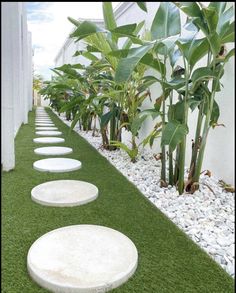 a row of white stepping stones sitting on top of a grass covered walkway next to plants