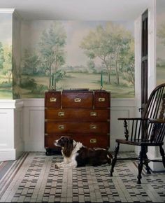 a dog laying on the floor in front of a dresser and wallpapered room