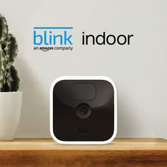 the blink indoor camera is next to a cactus