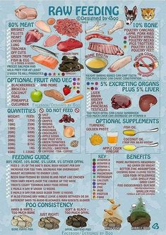 the raw food guide for dogs and cats is shown in this poster, with instructions on how to use it