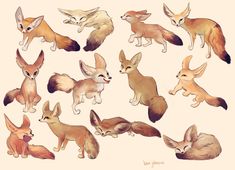 an image of many different animals that are drawn