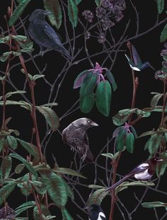 two birds are sitting on the branch of a tree with purple flowers and green leaves