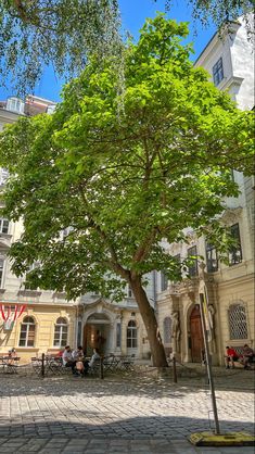 a large green tree sitting in the middle of a courtyard