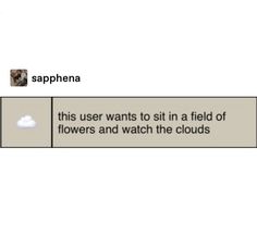 the text reads, saphena this user wants to sit in a field of flowers and watch the clouds