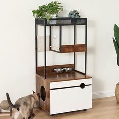 a cat standing next to a white and brown shelf with drawers on it's sides