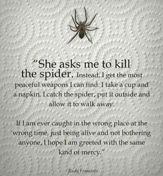 a spider sitting on top of a piece of paper with the words, she asks me to kill the spider instead