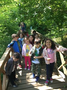 a group of children standing on a bridge in the woods