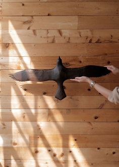 a person reaching out to touch a bird on a wooden wall with its wings outstretched