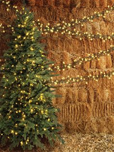 Rustic Christmas Tree and Hay Bale Photography Backdrop - Rustic Christmas tree and hay bale photography backdrop featuring string lights for a cozy holiday photo session. Hay Bales Photography, Countryside Christmas, Barn Backdrop, Christmas Barn, Portable Backdrop, Holiday Portraits, Holiday Photography, Hay Bales, Paper Backdrop