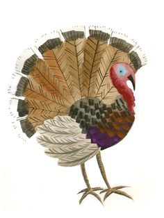 a drawing of a turkey with feathers on it's head and tail, standing in front of a white background