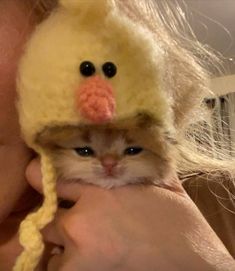 a woman holding a small kitten wearing a duck hat