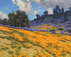 a field full of yellow and purple flowers under a blue sky with clouds above it