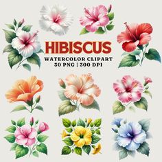 various flowers and leaves with the words hibiscus