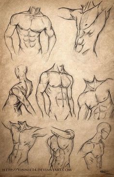 an old paper with some drawings of muscular men and women in different poses, including the torso