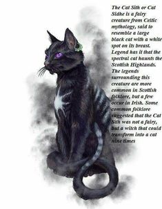 a black and white cat with purple eyes sits in front of a poem written by person