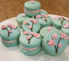 there are many blue macaroons with pink flowers on them