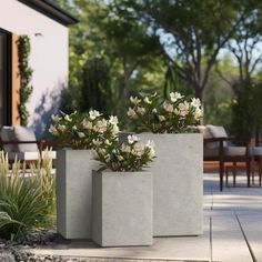 two cement planters with white flowers in them