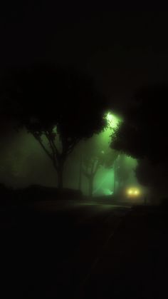 a car driving down a dark road at night with fog and trees on either side