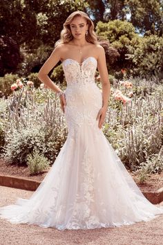 Sophia Tolli Wedding Dress Sophia Tolli: Y22176 - Michaela Sweetheart Lace Wedding Dress, Sophia Tolli, Lace Wedding Dress, Lace Wedding, Wedding Dress