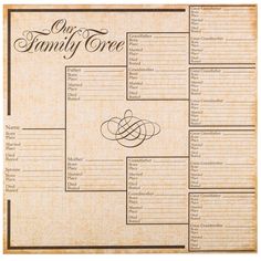 a family tree is shown on a piece of paper