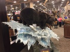 there is a bear that is on top of some ice in the middle of a store