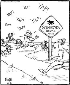 a cartoon strip with an image of a man running past a sign that says, yap yap yap yap yap yap yap