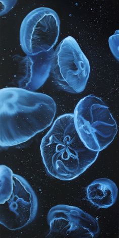 blue jellyfish swimming in the water together